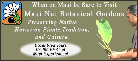 When on Maui be Sure to Visit Maui Nui Botanical Gardens